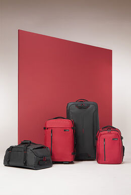 <span style='font-size: 14px;'>Charcoal-Rot
    Herbst/winter 2024
</span>