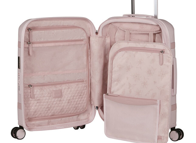 Umfangreiches Interieur