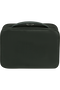 Samsonite Respark Toilet Kit Weekender  Forest Green