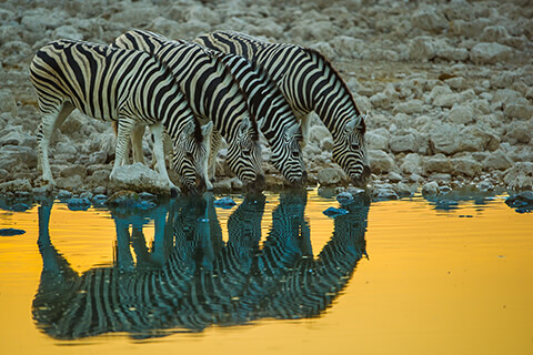 Namibia