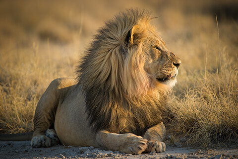 Namibia