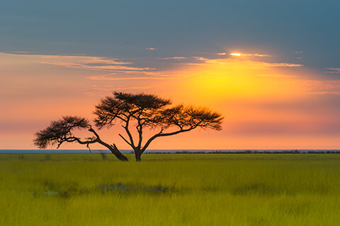 Namibia